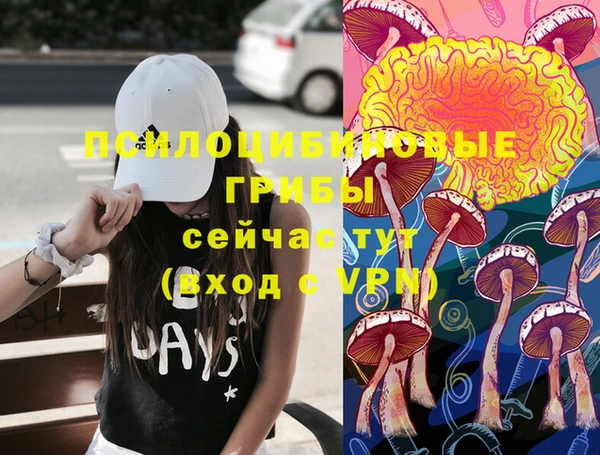 кокаин премиум Алексеевка