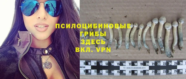 мет Алзамай