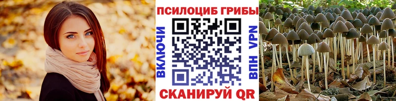 Псилоцибиновые грибы Magic Shrooms  OMG ссылка  Выкса 
