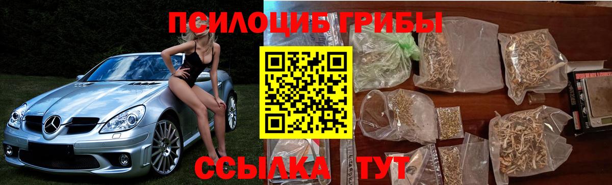 Галлюциногенные грибы прущие грибы Выкса